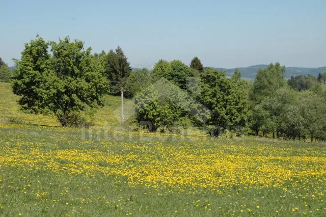 Ferienhaus Böhmisch – Mährischen Hochland JM 0006