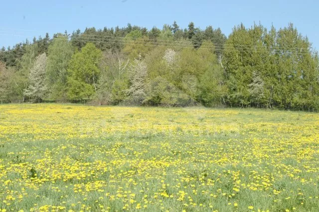 Vakantiehuis Cesky Krumlov en omgeving JC 0548