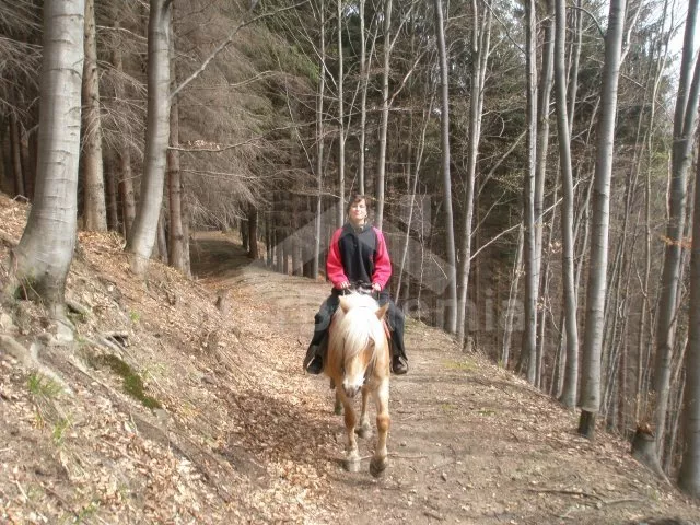 Appartement Beskiden Gebirge JM 0033 A