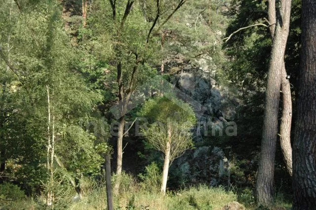 Boswachtershuis Krivoklat burcht en omgeving ZC 0169