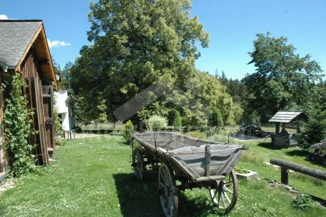 Lodge Bohemian Forest JC 0707