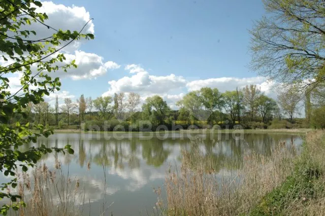 Bungalow Zuid Boheemse meren JC 0685