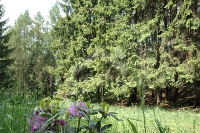 Chata Českomoravská vrchovina JM 0102