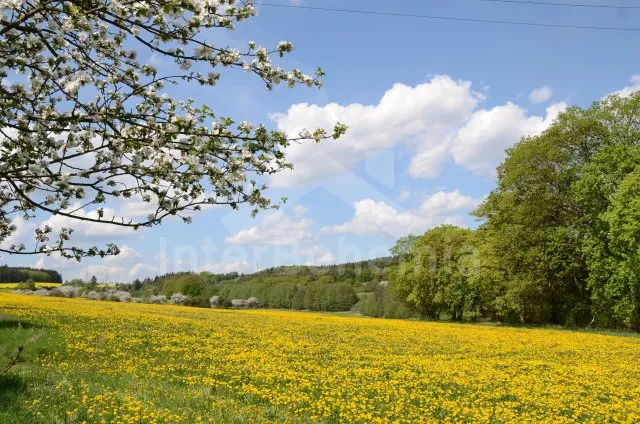 Villa Nové Hrady and Surroundings JC 0741