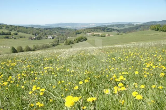 Villa Nové Hrady and Surroundings JC 0741