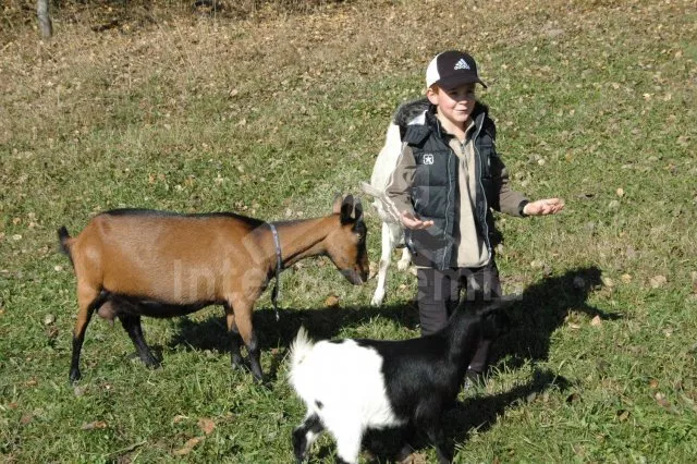 Apartmán Lipno JC 0743