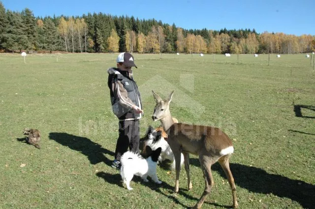 Apartmán Lipno JC 0743