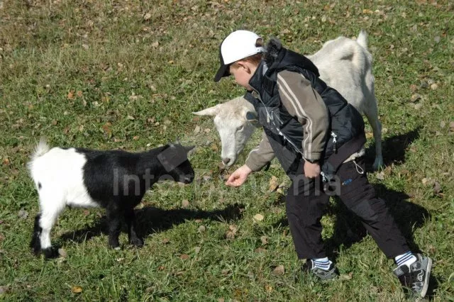 Apartmán Lipno JC 0743