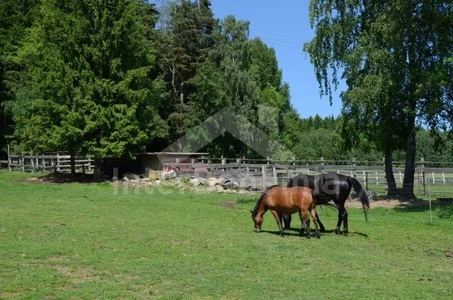 Apartmán Lipno JC 0743