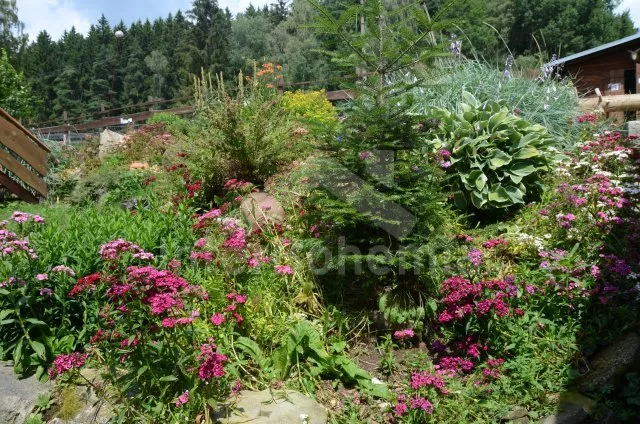 Apartmán Lipno JC 0743