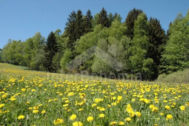 Appartement Südböhmen – Böhmerwald JC 0751