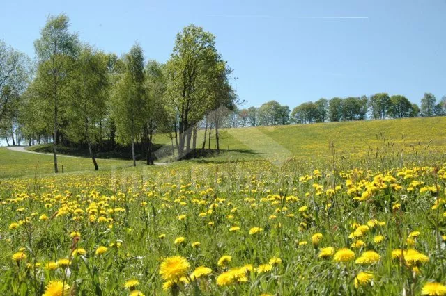 Vila Šumava a předhůří JC 0754