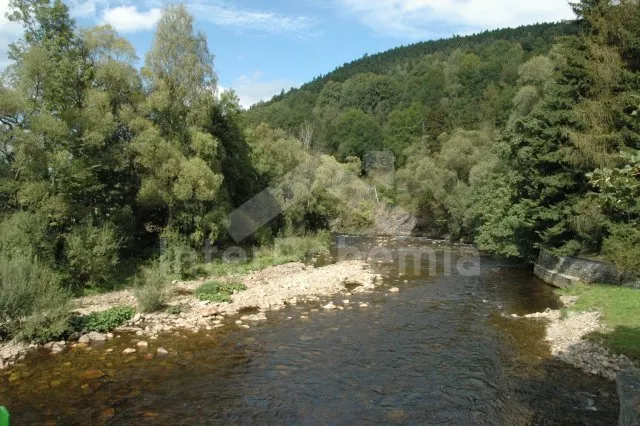 Chalet Bohemian Forest JC 0758