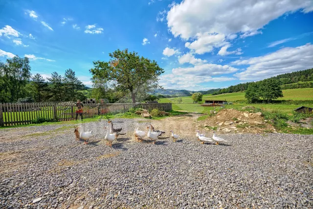 Apartmán Šumava a předhůří JC 0765