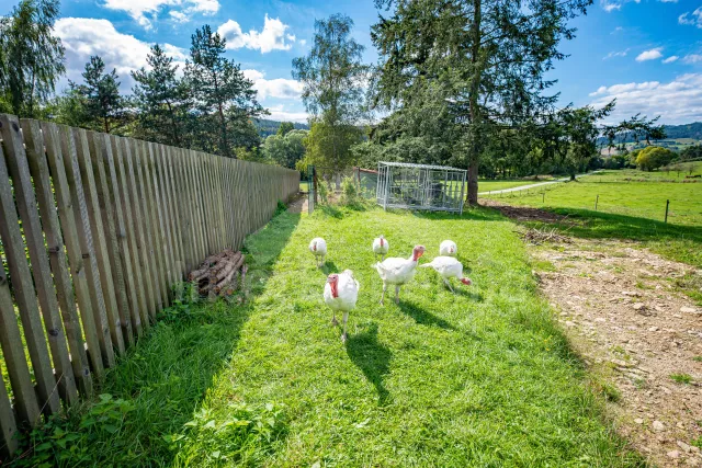 Apartmán Šumava a předhůří JC 0765