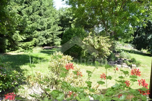 Statek Orlík JC 0034