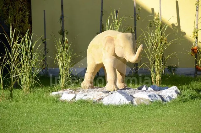 Domek Podyjí JM 0105