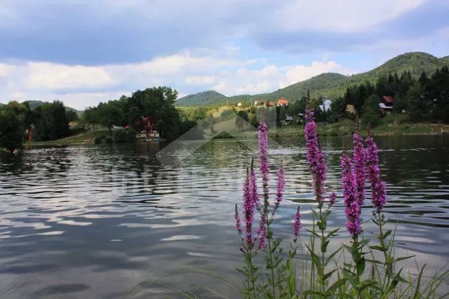 Chalupa Slovensko SL 0015