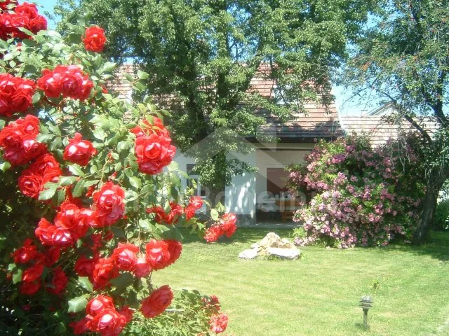 Domek Slovensko SL 0019