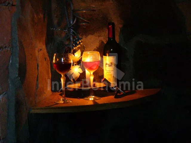 Domek Slovensko SL 0019