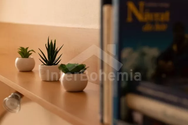 Domek Slovensko SL 0029