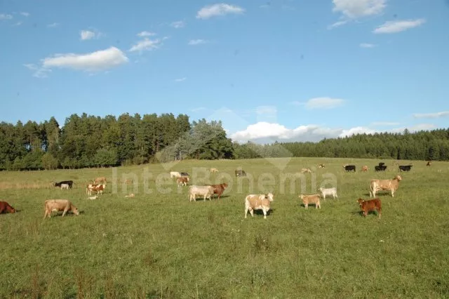 Chalupa Šumava a předhůří JC 0732