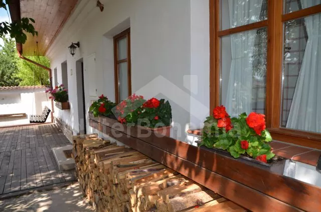 Vila Písek a okolí JC 0327