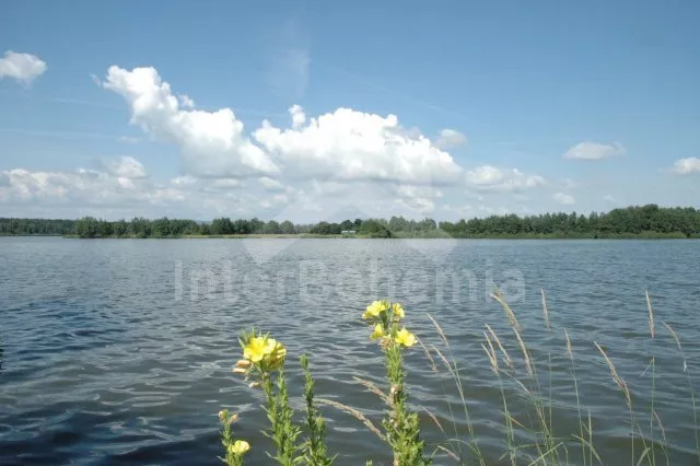 Chata Jihočeské rybníky JC 0044