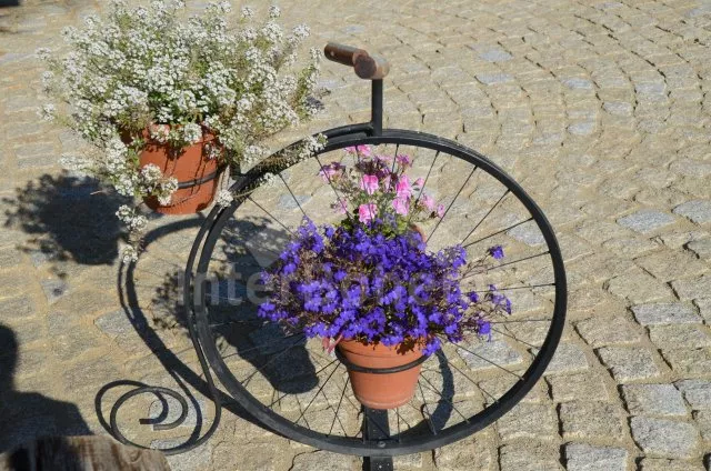 Pension Südböhmen – Budweis JC 0231 D