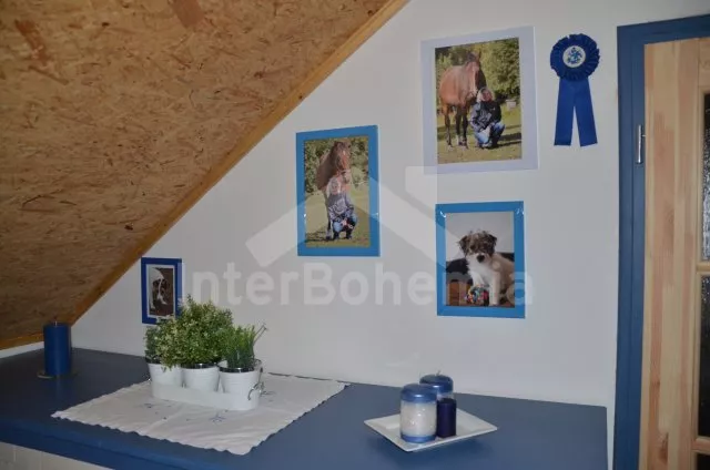 Ferienhaus Südböhmen – Pisek JC 0237