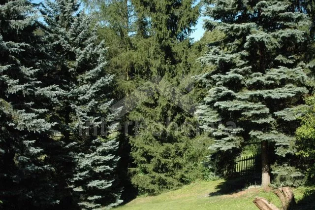 Chata Křivoklátsko OP 0016