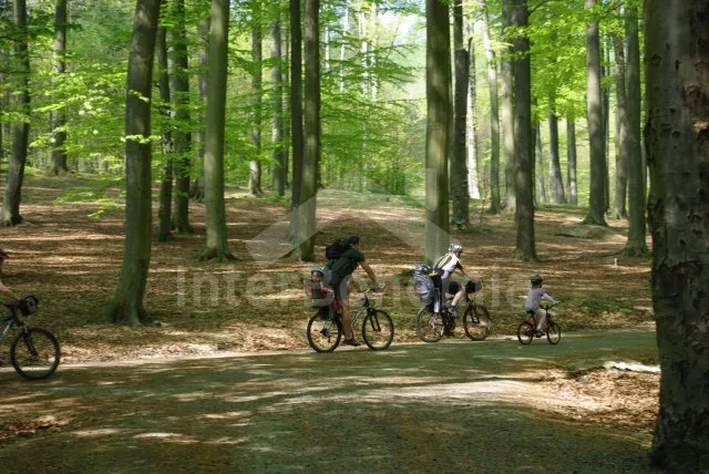 Vila Praha a okolí OP 0018