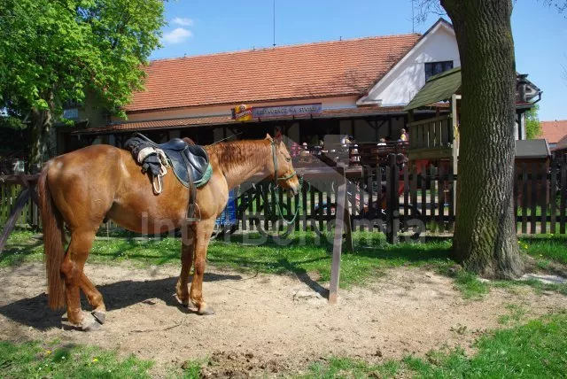 Vila Praha a okolí OP 0018