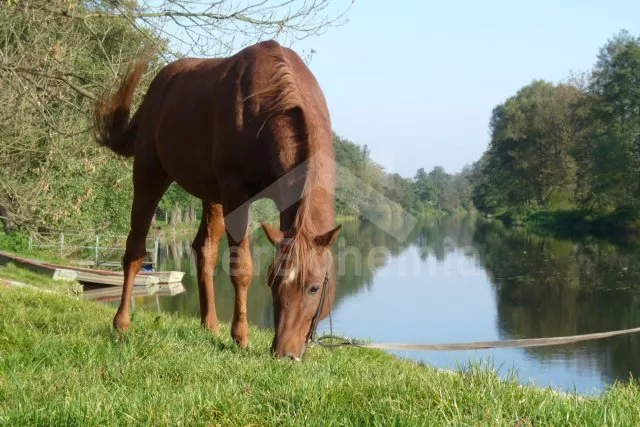 Apartmán Posázaví OP 0021