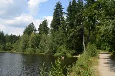 Velkopařezitý rybník