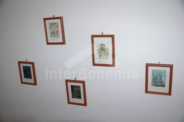 Vila Tábor a okolí JC 0141