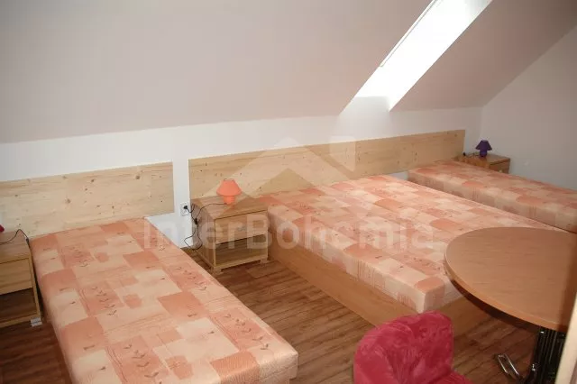 Vila Tábor a okolí JC 0141