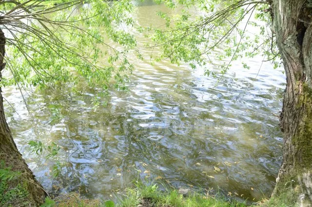 Vila Písek a okolí JC 0247