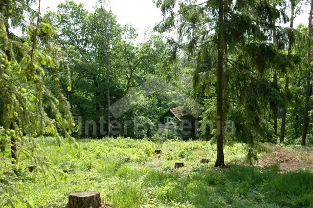 Chata Jihočeské rybníky JC 0152