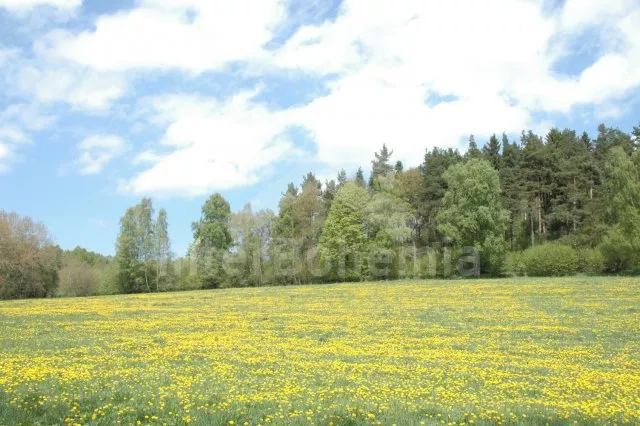 Domek Posázaví OP 0028