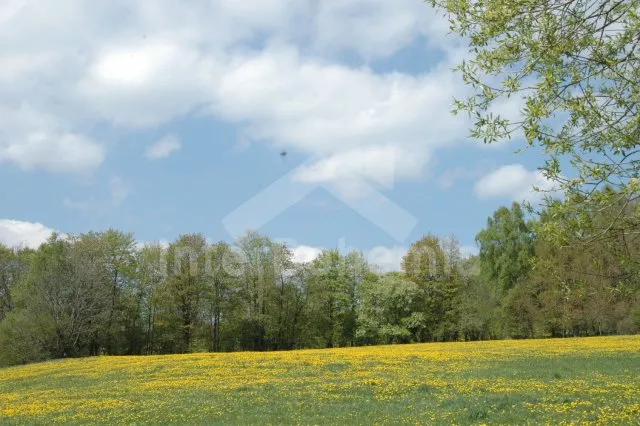 Domek Posázaví OP 0028