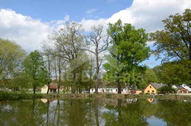 Vila Jihočeské rybníky JC 0002
