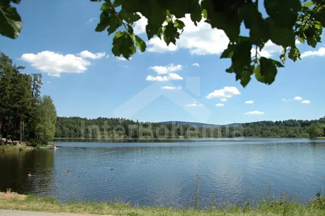 Křiš'tanovice swimming