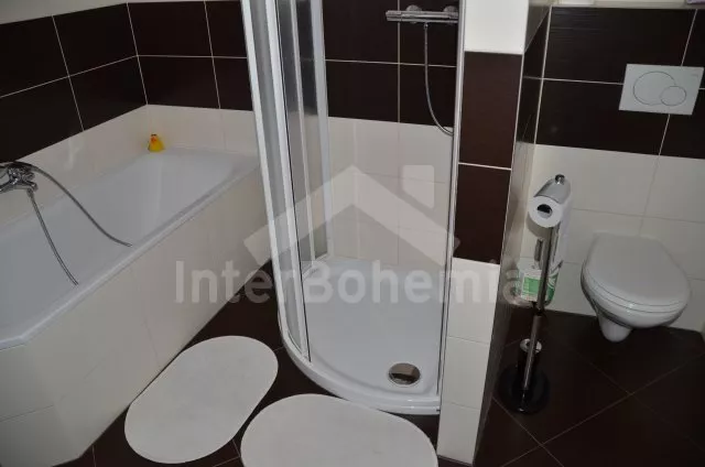 Chalupa Tábor a okolí OP 0032