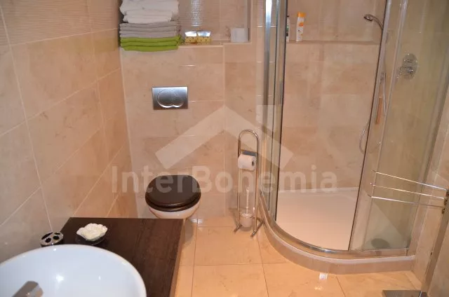 Chalupa Posázaví OP 0033