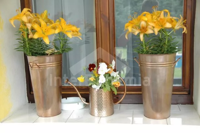 Domek Kokořínsko a Máchův kraj OP 0076