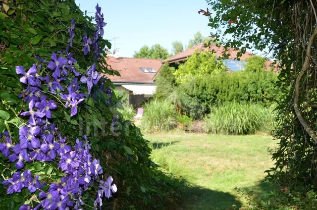 Vila Praha a okolí OP 0092