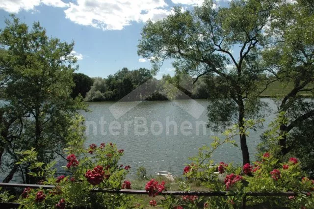 Chata Praha a okolí OP 0258