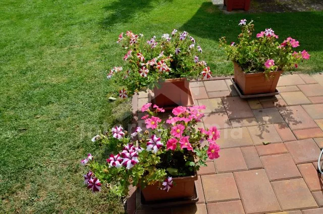 Domek Praha a okolí OP 0306