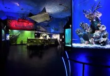 ZOO Mořský svět Praha